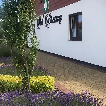 Pod Brzoza Lodge Chłopy